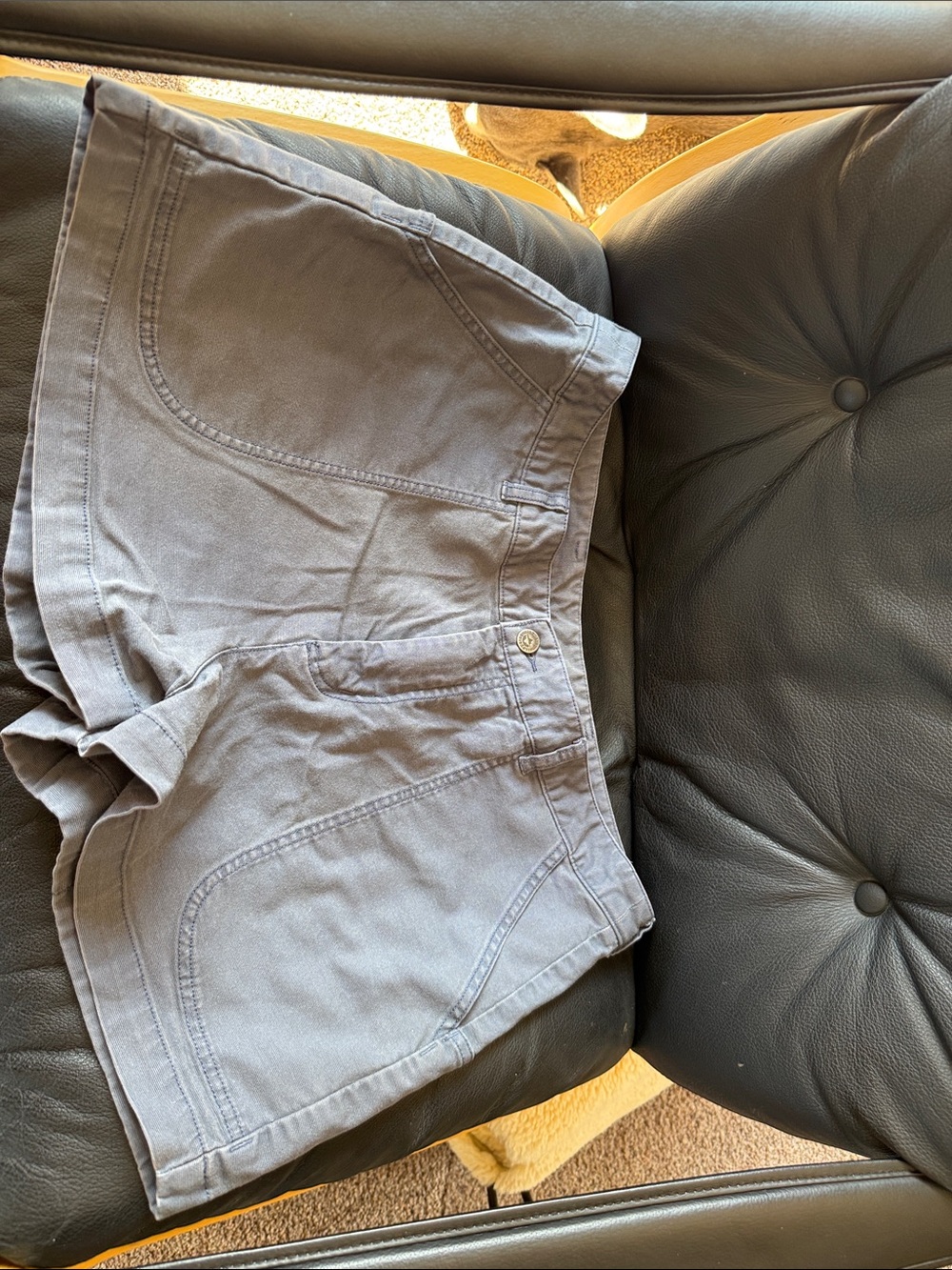 Patagonia Blue Women’s Standup Shorts